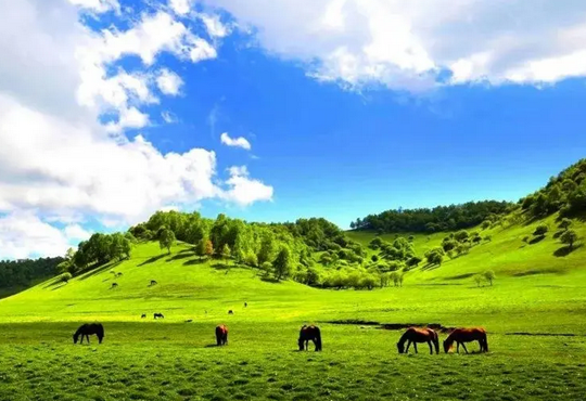 寶雞網(wǎng)站設計素材_寶雞網(wǎng)頁設計素材-【云浪科技】