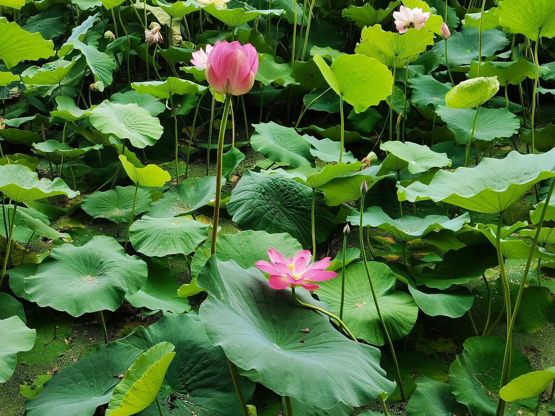 點(diǎn)擊了解