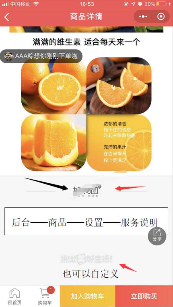 商品詳情頁品牌logo(基礎設置）(圖1)